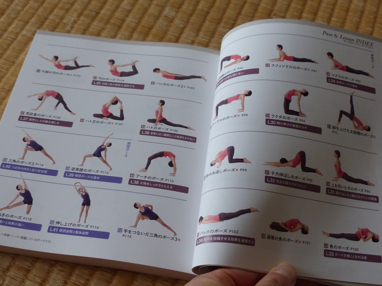 YOGAポーズの教科書』を買ってみた。綿本せんせの集大成 - オヤジの